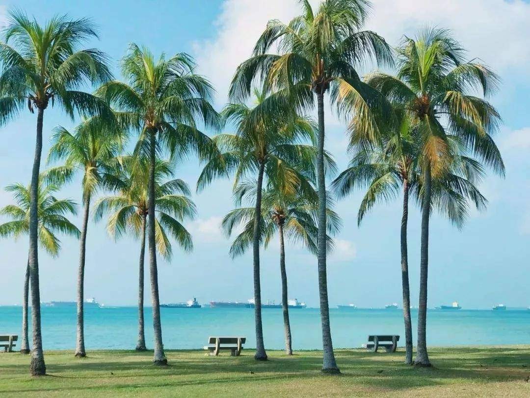 哈爾濱西站列車時刻表及乘車攻略